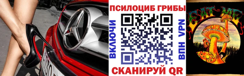 Псилоцибиновые грибы мухоморы цена Мончегорск